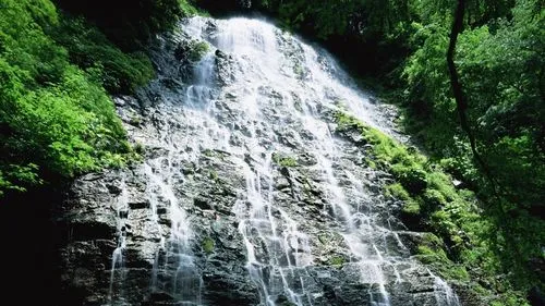 精密可靠性高标准